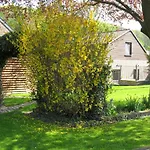 Schophemmerhoeve Holiday home