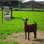Schophemmerhoeve